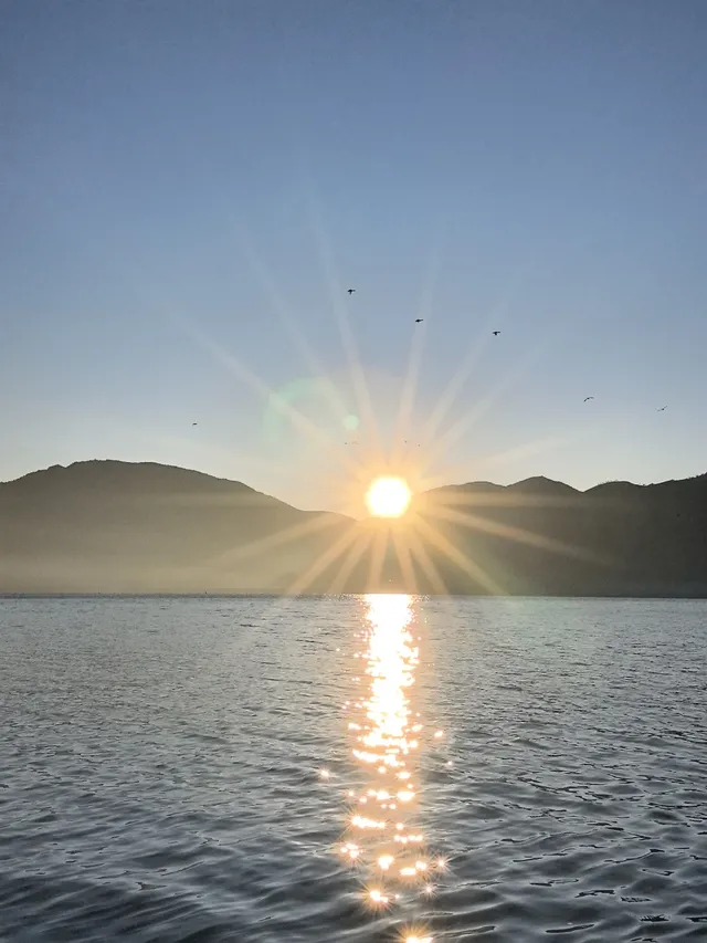 被瀘沽湖美鼠！12.4實拍！