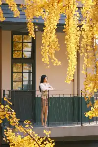 揚州蘇唱街|12月1日下午拍攝,這週得趕緊衝!