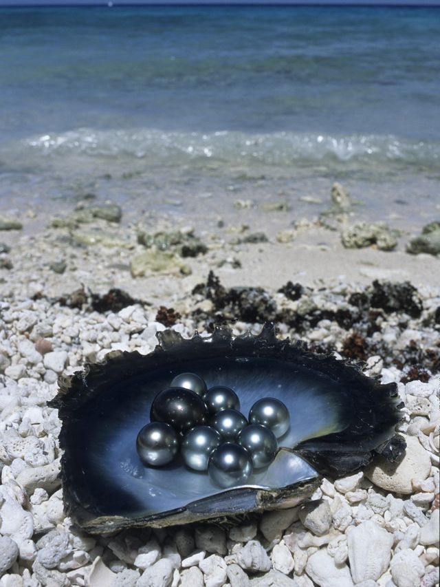 住進世界水屋發源地是什麼體驗? 住進世界水屋發源地是什麼體驗?