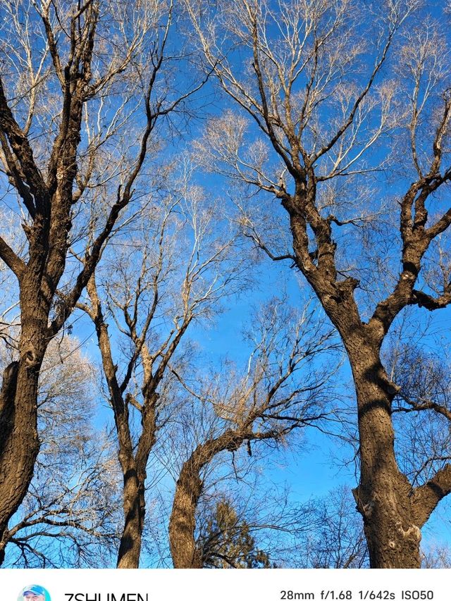 Tongliao Urban Vibes✨ Tongliao Urban Vibes✨