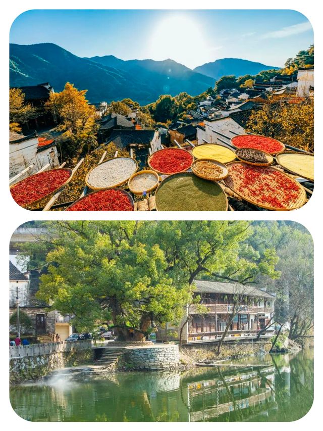 12月-2月冬季出行，6個寶藏去處，遊人不多，風光獨特