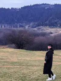 公路沒有盡頭，自由也是