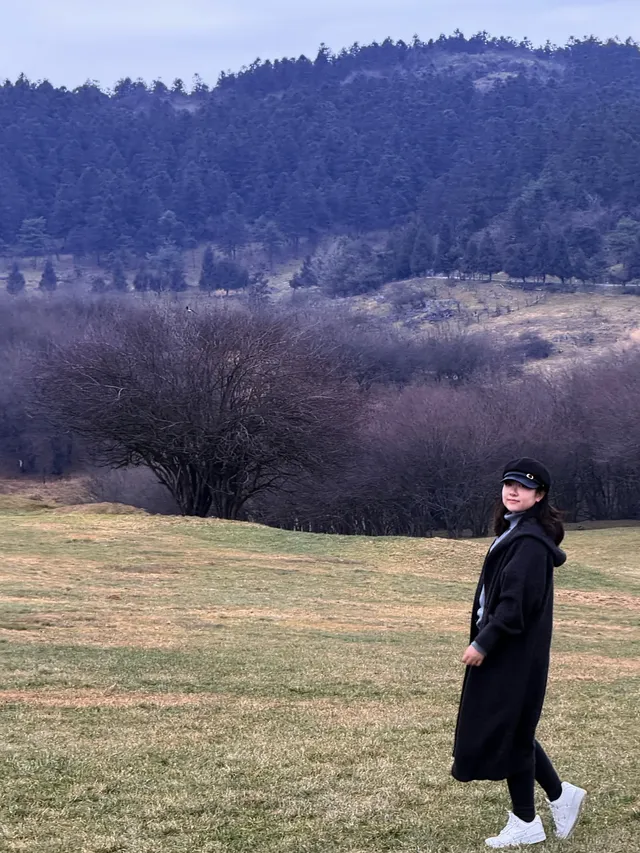 公路沒有盡頭，自由也是