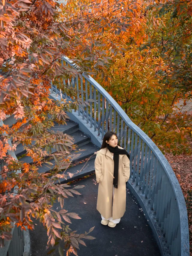 被問瘋的上海楓葉旋梯錯過真的等一年… 被問瘋的上海楓葉旋梯錯過真的等一年…