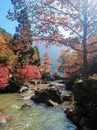 每週一山百丈漈帶娃闖進瀑布的武俠世界