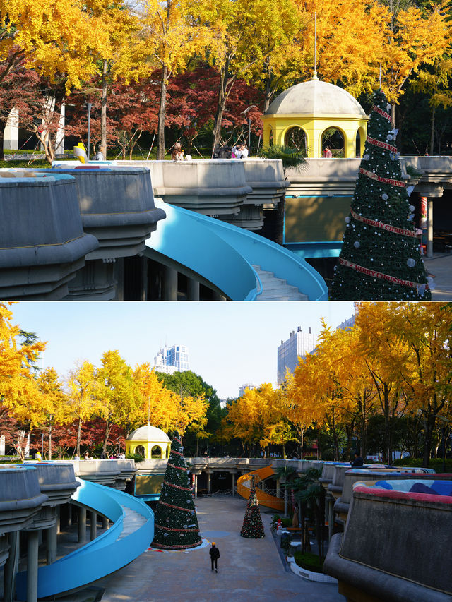 魔都小眾打卡！快看銀杏與聖誕樹撞了個滿懷