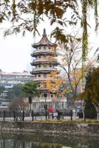 探訪寶島公園:都市中的靜謐一隅