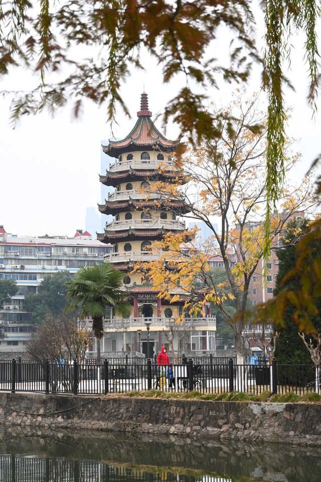 探訪寶島公園:都市中的靜謐一隅 探訪寶島公園:都市中的靜謐一隅