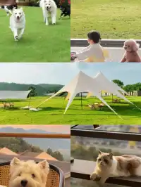 台州溫嶺輕鬆住，這家希爾頓惠庭也太會了！