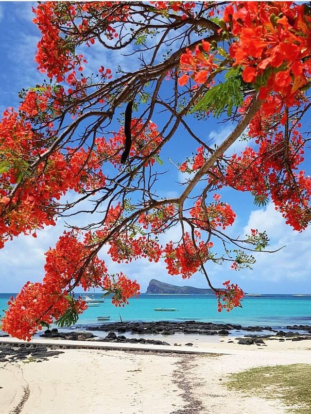 毛里裘斯9大必打卡點!來毛里裘斯必看~ 毛里裘斯9大必打卡點!來毛里裘斯必看~