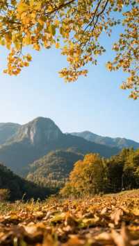 12月四種風格的冬日旅行攻略