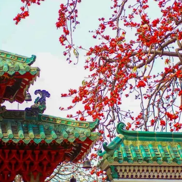 ③ 青龍 佛山寺 臨済宗建長寺派青龍山 吉祥寺｜川場を楽しむ｜