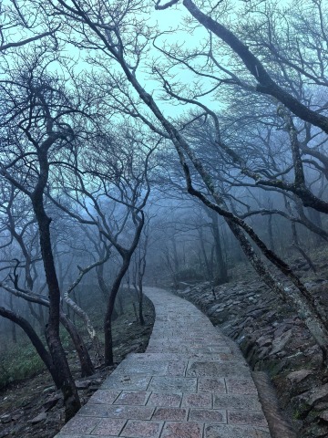 黄山風景区 4月最新の旅行ガイド | Trip.com 黄山