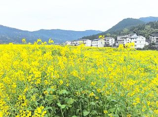 巴中春の饗宴が全域の活力を呼び覚ます