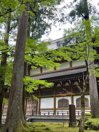 Help! Traveling to Japan in the summer is just too amazing!