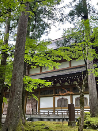 救命夏天去日本旅遊真的太香啦