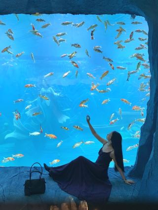 沧州文旅が大勝負！没入型の非遺体験が最高！Ø