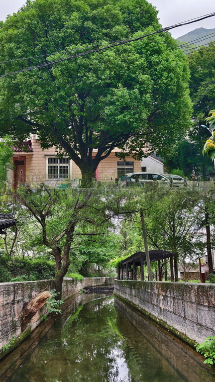 深溪岕村·山介咖啡(800年古村) 参考图 2