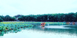 Northern Living Tanghe Wetland, Taihang Recesses, Spring Outing Season