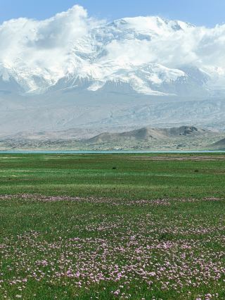 A Journey to the Pamirs | Encountering the Pure White Wonderland of Muztagh Ata Everyone should visit the Pamir Plateau at least once in their life, to witness the breathtaking grandeur of Muztagh Ata.