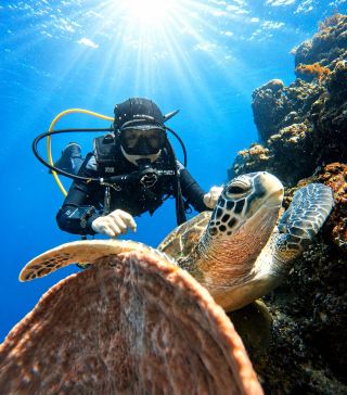 Exceptional Dive Experience with Dive Sphere