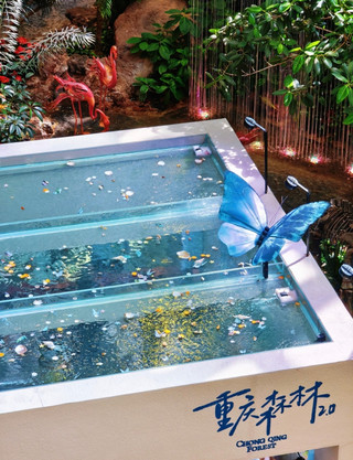 Midsummer dream goldfish · Chongqing forest 2.0
