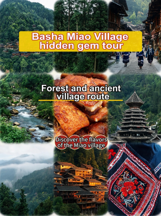 Basha Miao Village travel guide