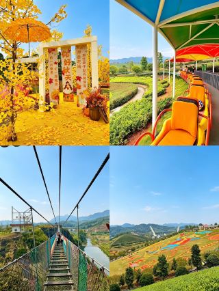 Escape to the Anhua Tea Town Flower Sea for the National Day holiday—enjoy autumn scenery and family fun all in one 🍂