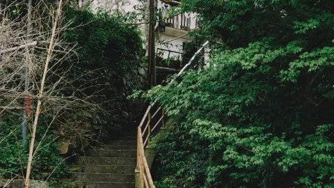 An ancient village hidden deep in the mountains, so quiet! Ancient paths, stone bridges!  — traveler post in Nanping
