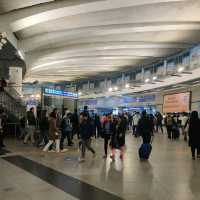 The Delhi Metro