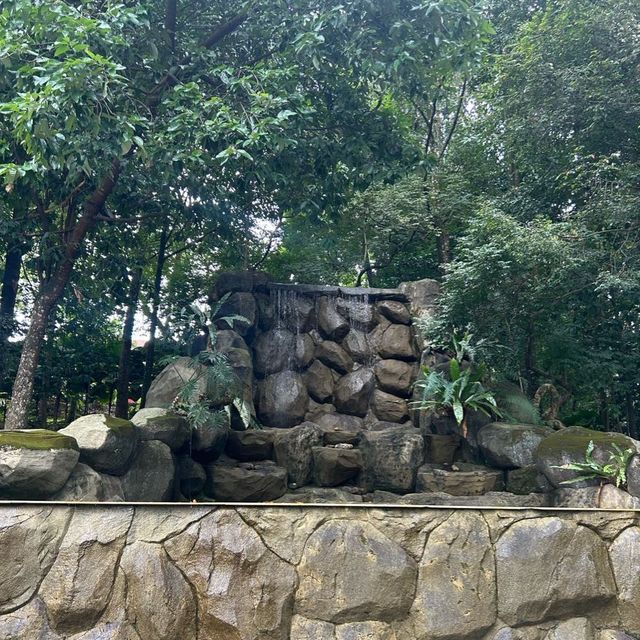 永遠有驚喜的森林保護區