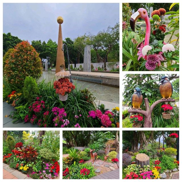 賞繡球花🌺樱花🥀@大埔海濱公園 