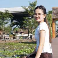 DUBUA CAFE (ดูบัว เคเฟ่)
