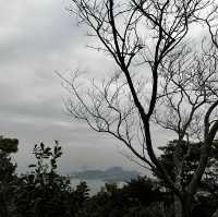 山頂的隱世後花園-山頂公園