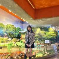 테마가 다양한 코엑스 아쿠아리움🐠🫧