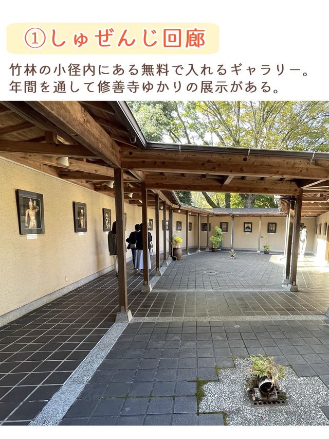 【静岡】修善寺温泉街の観光スポット7選
