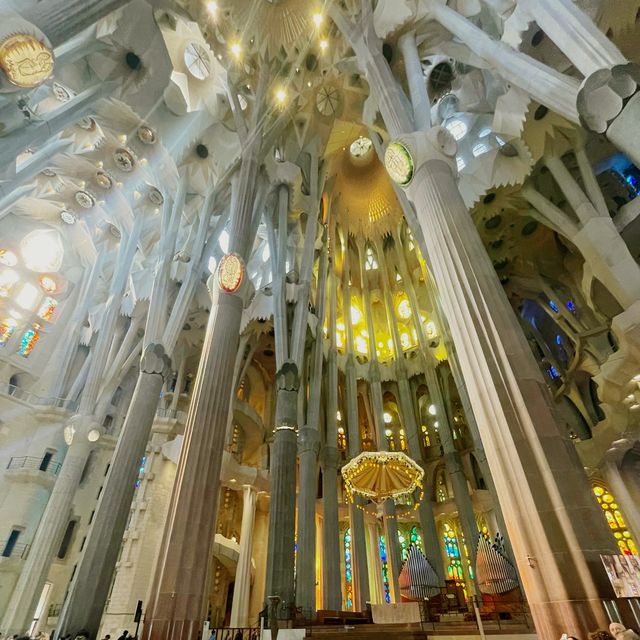 La Sagrada Familia 🇪🇸 Barcelona Spain