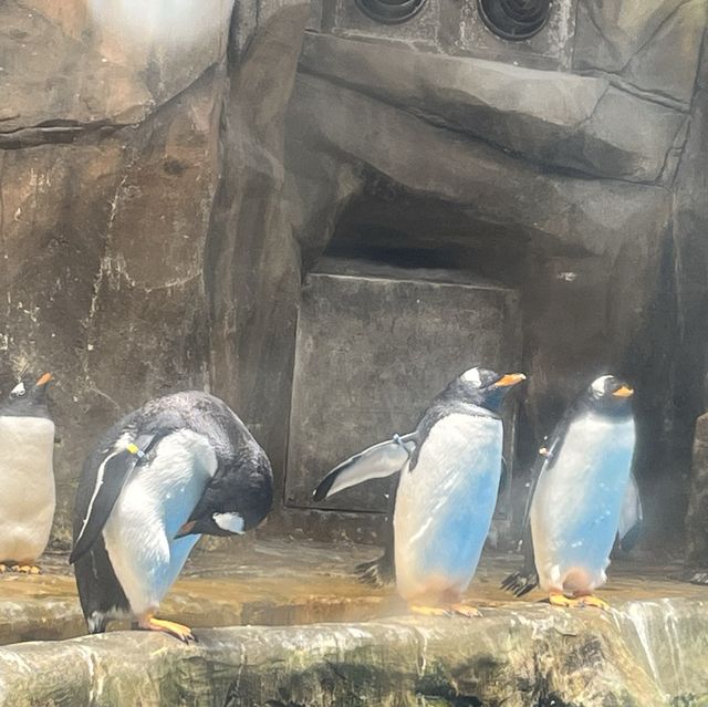 海洋公園：南極奇觀