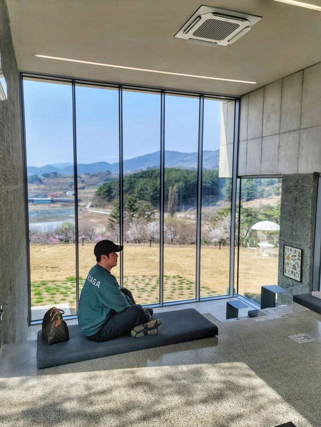 식물복합공간 청도 신상카페 소우모우🌳