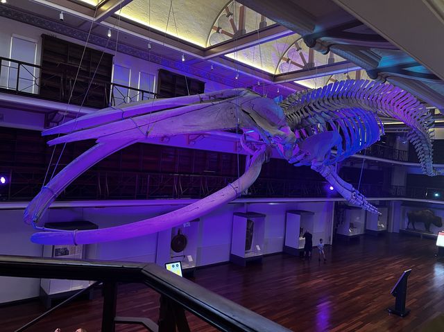 My Ancestors' 🤩🥰 Museum of my vibe🫢😝