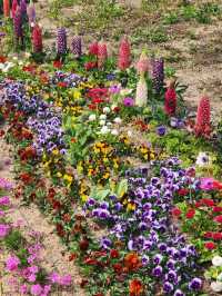 봄꽃 가득해 인기만점인 북서울꿈의숲🌱🌺🪻