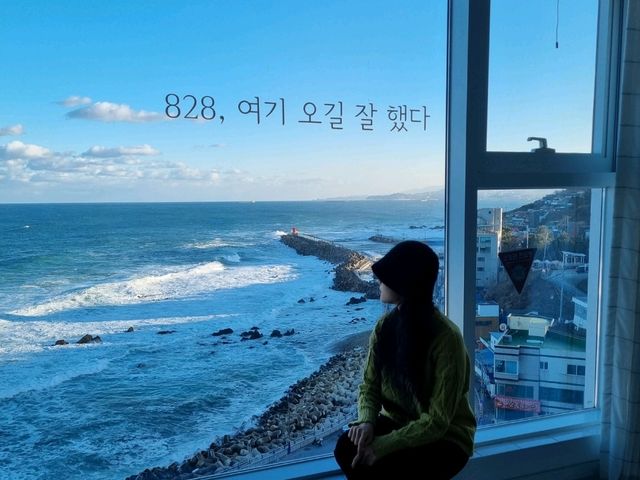 동해를 품은 숙소 풍경맛집!!!