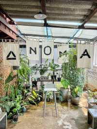 A N O M A .Cafe 🥤