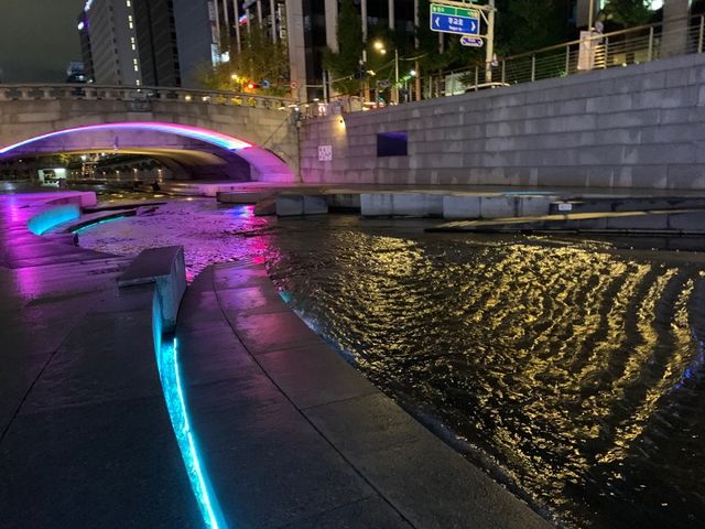 Cheonggyecheon Stream 🦆