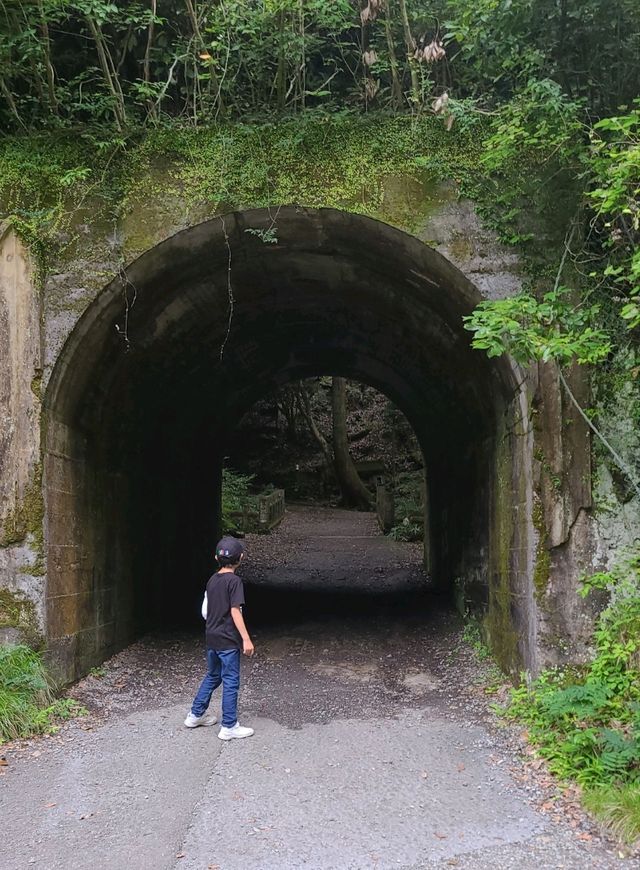 【大阪】滝道を散策をしよう