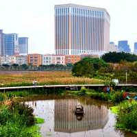 城市中的濕地生態公園