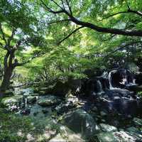 白鳥庭園