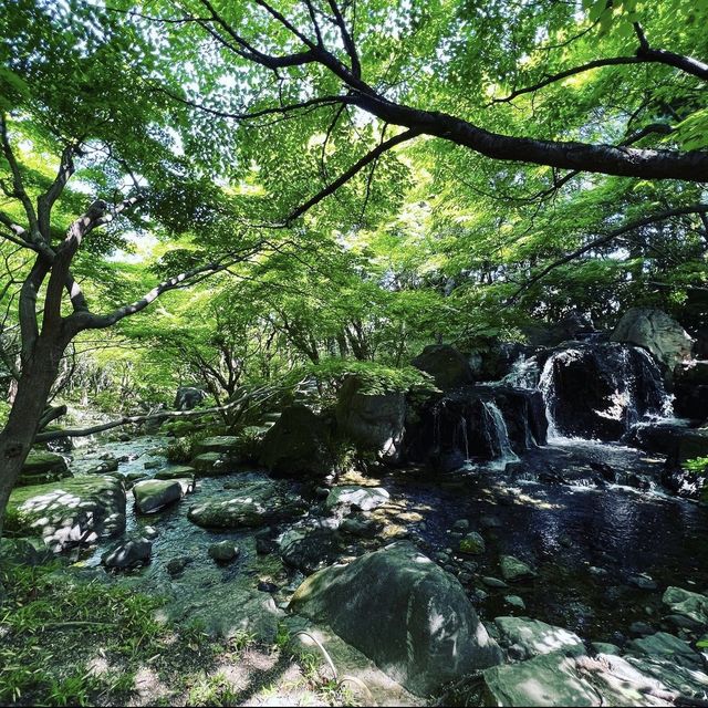 白鳥庭園