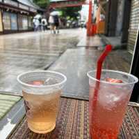 雷門寺一天遊！值得一去嘅遊客勝地
