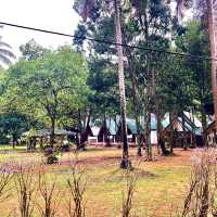 Cameron Island Resort